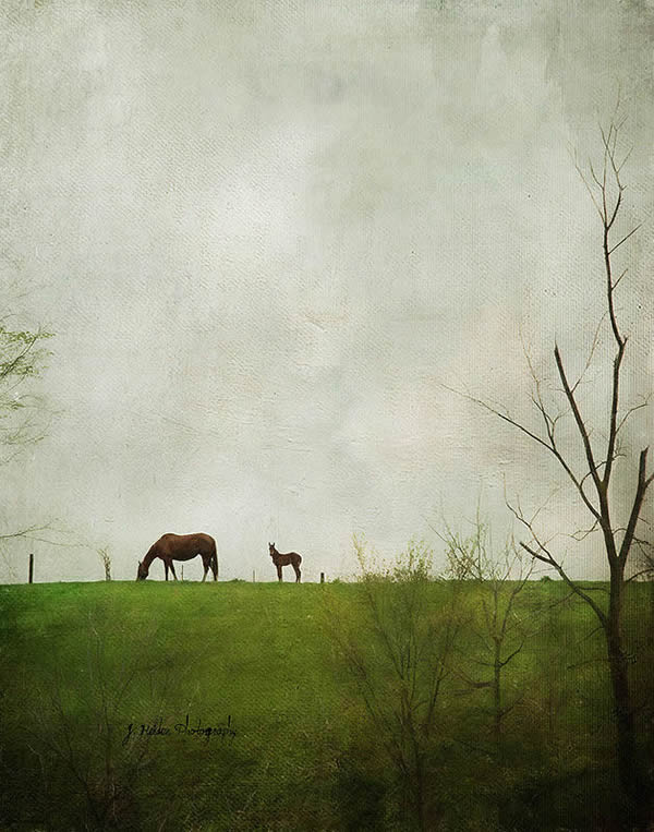 Jamie Heiden - Artistic Photography 