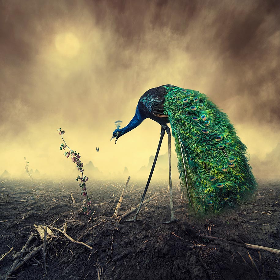 Mind-Blowing Photo Manipulations By Digital Artist Caras Ionut