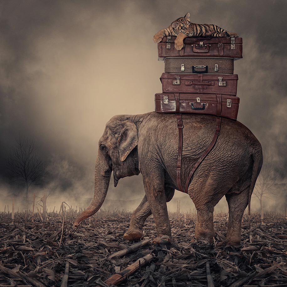 Mind-Blowing Photo Manipulations By Digital Artist Caras Ionut