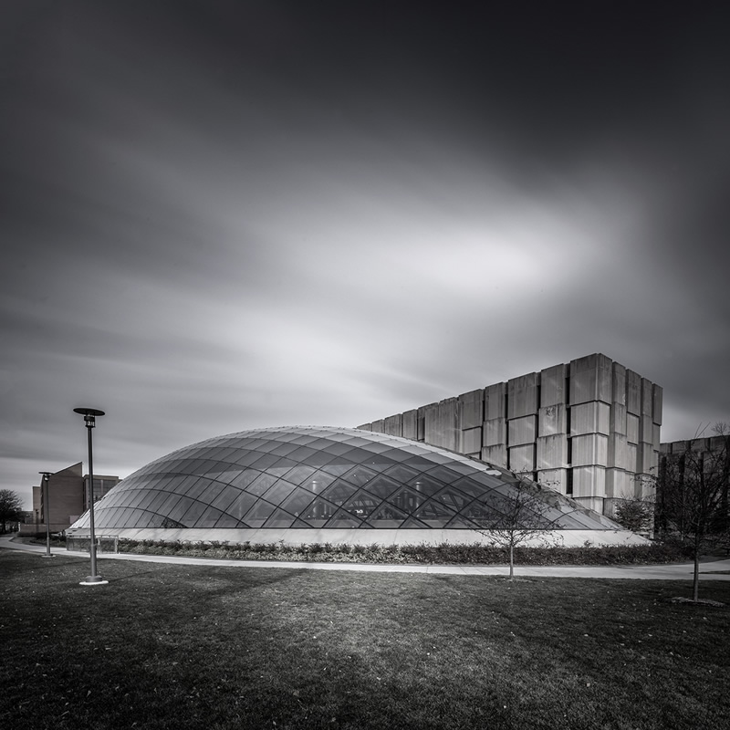 Mansueto Library, Chicago