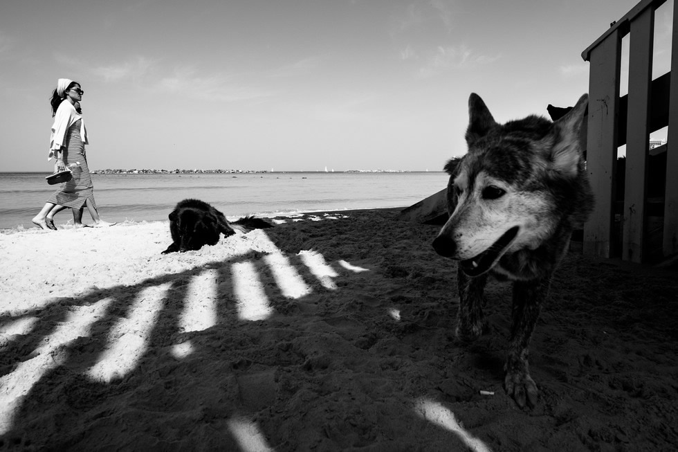 Roy Rozanski - Street Photographer from Israel