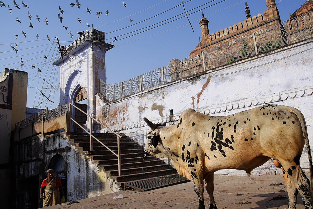 Soumyendra Saha - Street Photographer from India