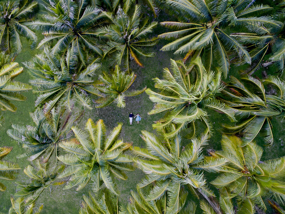 Alone In The World - Wedding Photographs Captured With Drone By Helene Havard