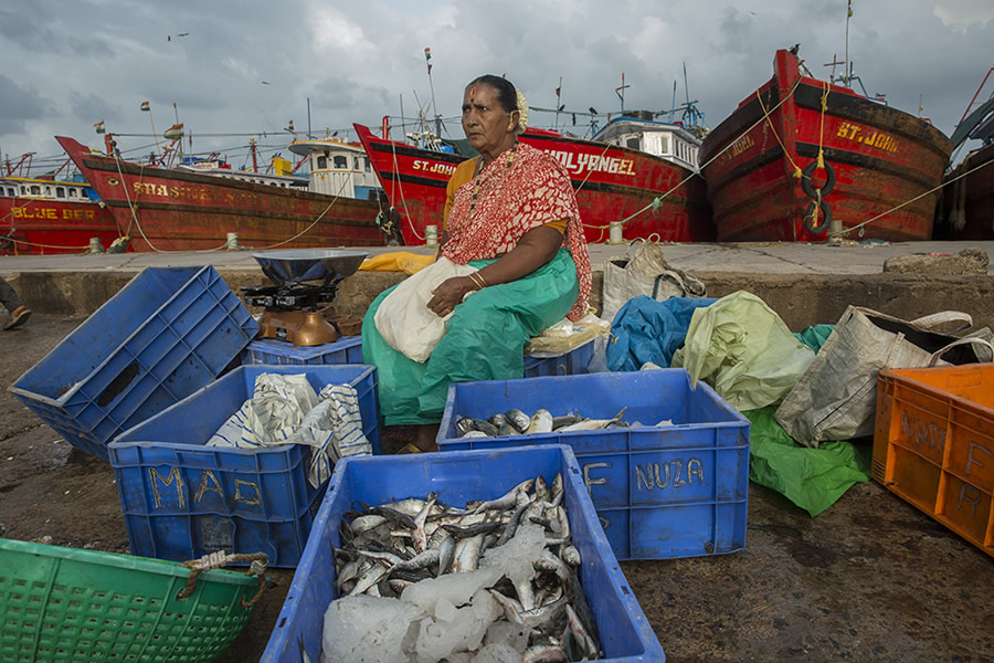 Safe Harbour: Coastal Fishing In Karnataka - Photo Story By Lopamudra Talukdar