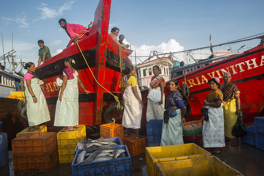 Safe Harbour: Coastal Fishing In Karnataka - Photo Story By Lopamudra Talukdar