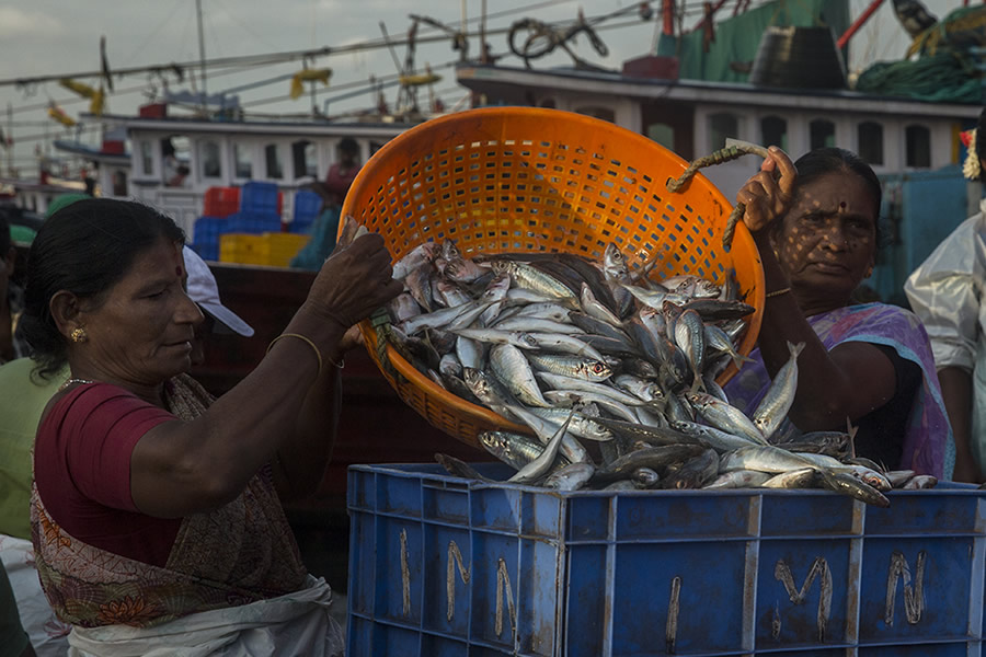 Safe Harbour: Coastal Fishing In Karnataka - Photo Story By Lopamudra Talukdar