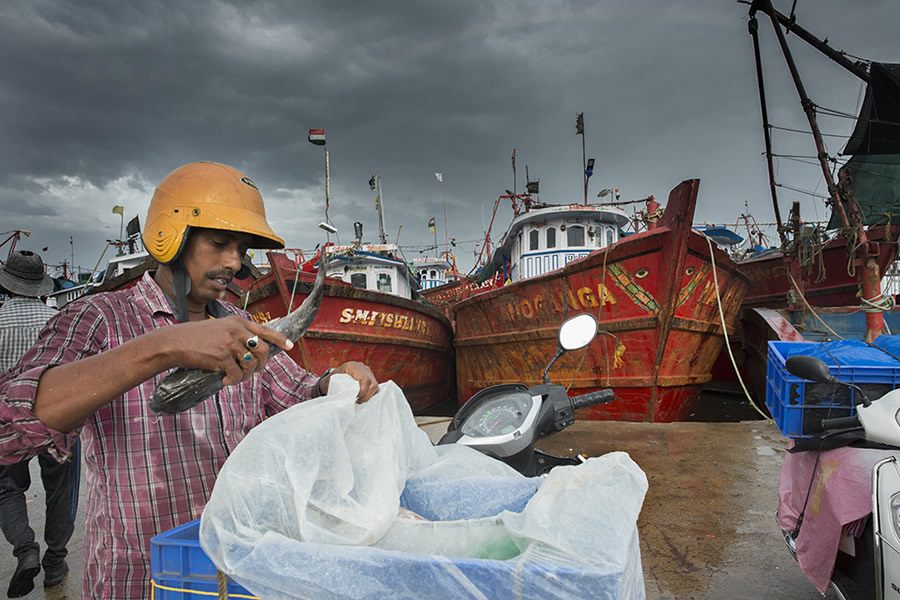 Safe Harbour: Coastal Fishing In Karnataka - Photo Story By Lopamudra Talukdar