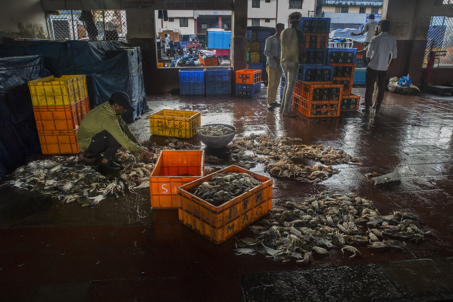 Safe Harbour: Coastal Fishing In Karnataka - Photo Story By Lopamudra Talukdar