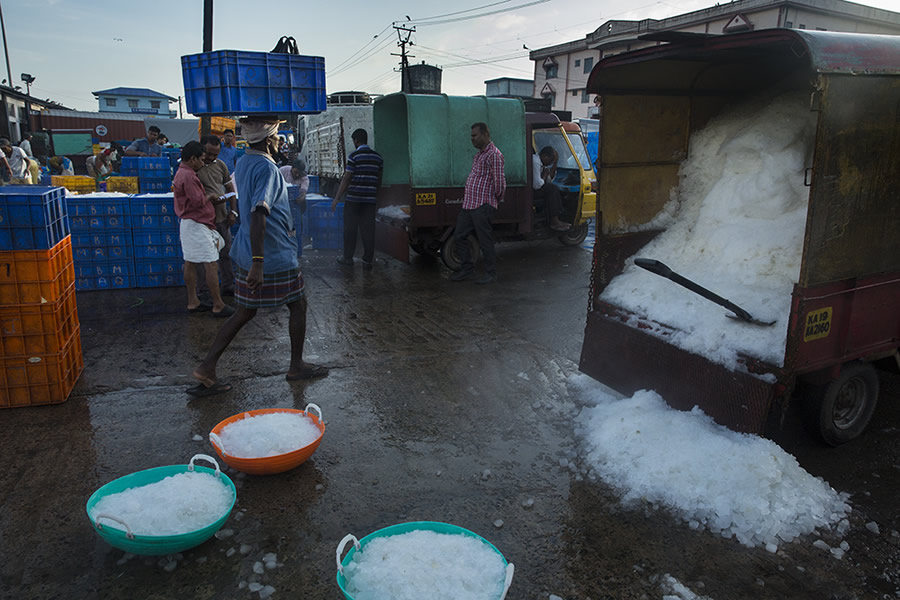 Safe Harbour: Coastal Fishing In Karnataka - Photo Story By Lopamudra Talukdar