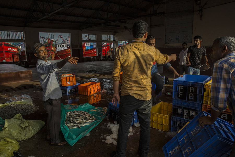 Safe Harbour: Coastal Fishing In Karnataka - Photo Story By Lopamudra Talukdar