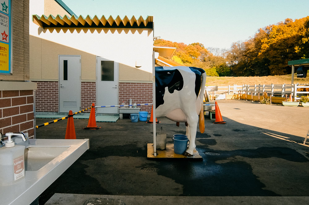 Shin Noguchi - Street Photographer from Japan