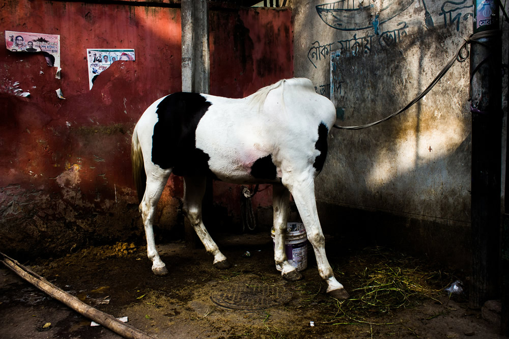 Md.Enamul Kabir - This Bangladeshi Photographer Takes You Deep Into Street Photography