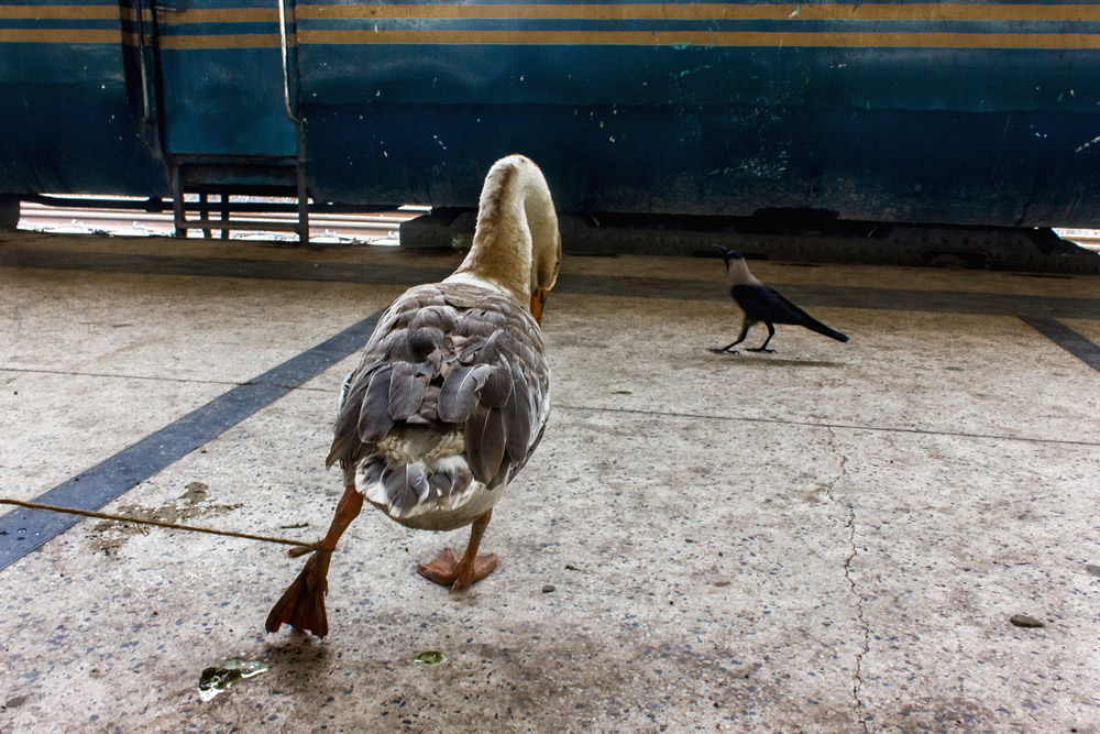 Md.Enamul Kabir - This Bangladeshi Photographer Takes You Deep Into Street Photography