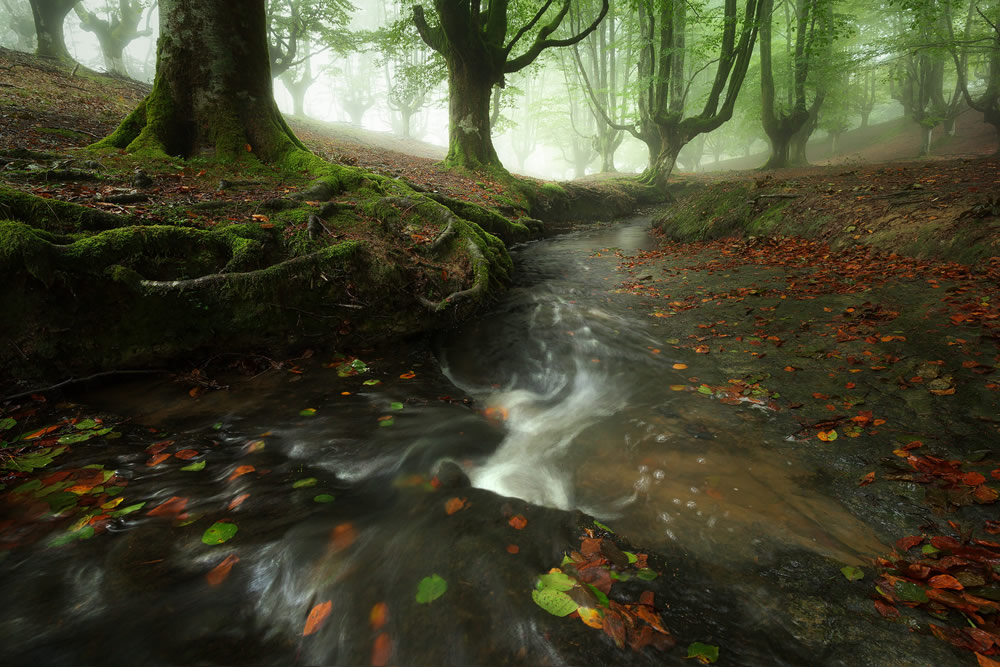 David Bouscarle - French Landscape and Nature Photographer