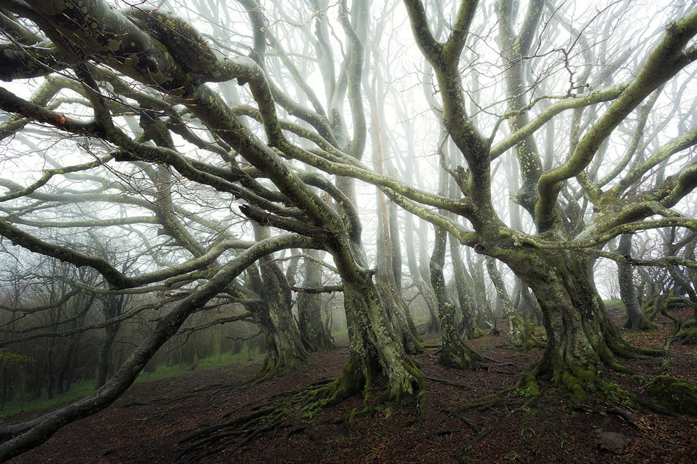 David Bouscarle - French Landscape and Nature Photographer