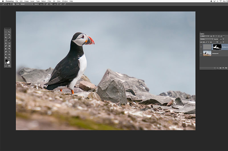 Photoshop Video Tutorial - How To Recompose And Sharpen Images For Frame-Filling Results