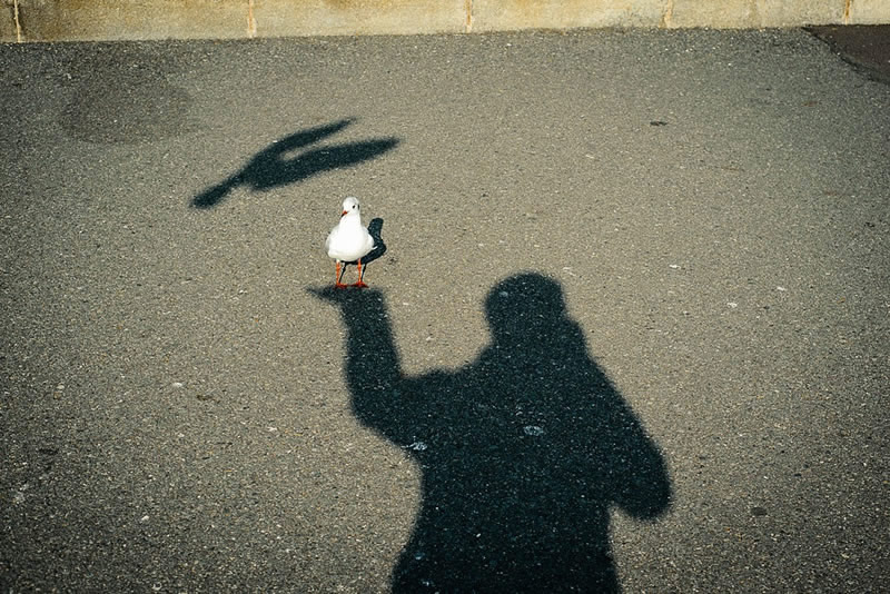 Minatomirai, Yokohama - Street Photography and art of the composition