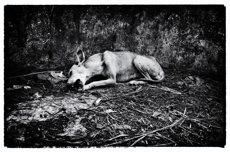 The Last Stop before Salvation - Photo Story By Debiprasad Mukherjee