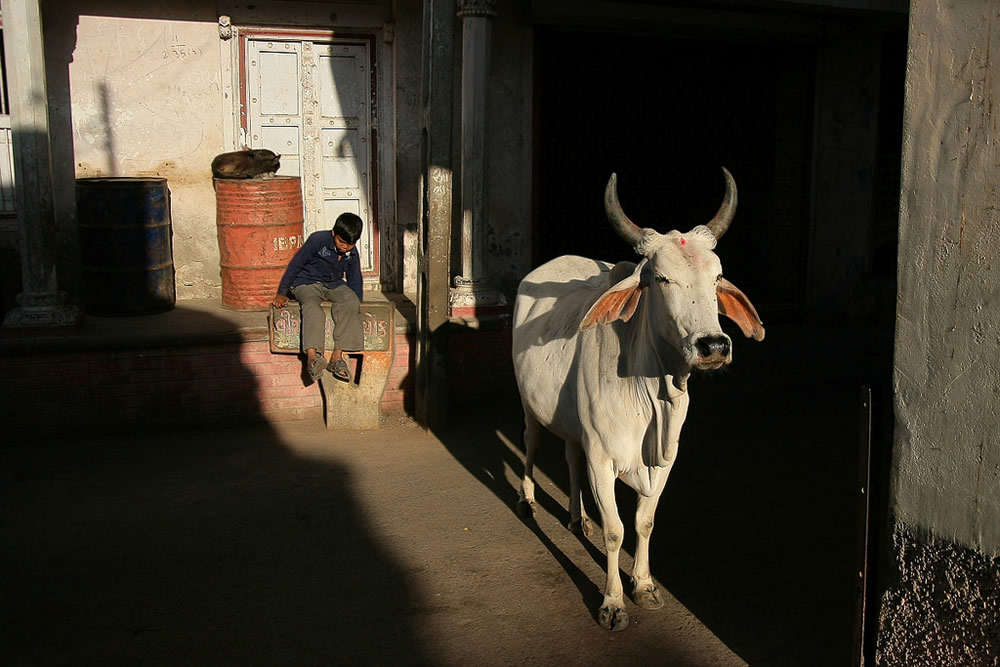 Fred Canonge - Travel Photographer from France