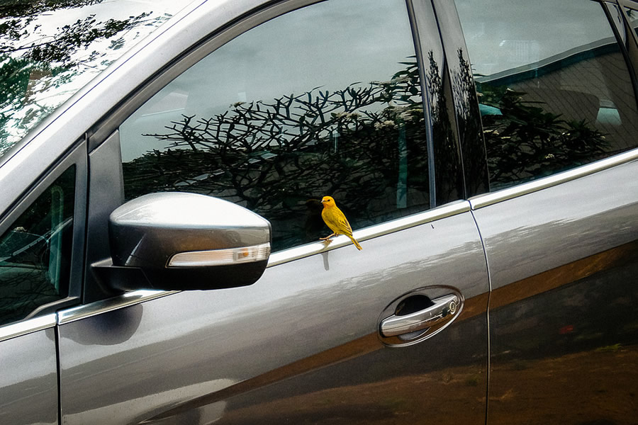 Haleiwa, Hawaii - Street Photography - Composition, Color, Framing, Best Photos