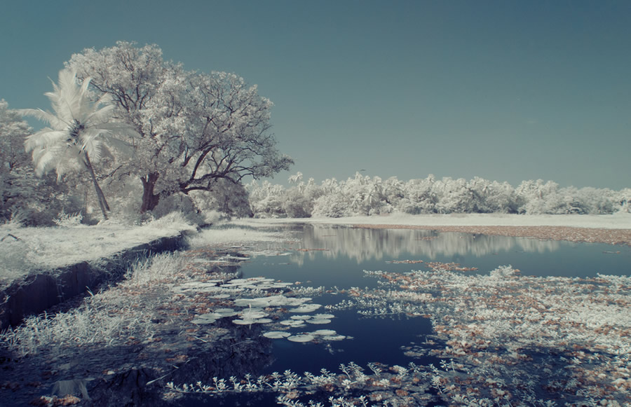 Goa - Through Photographer's Eye: Infrared Photography Series By Nimit Nigam