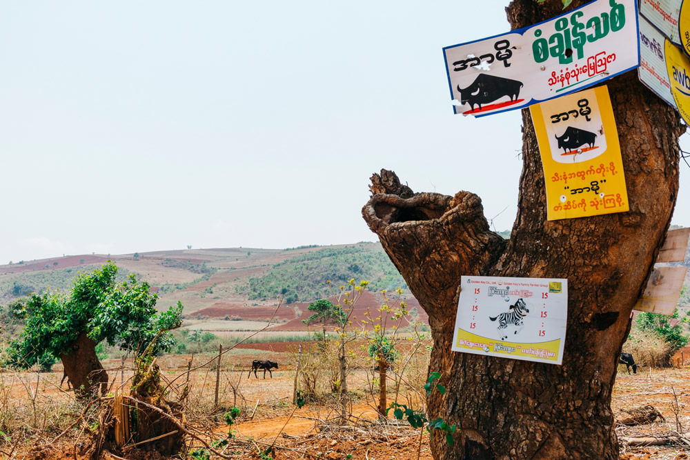 Myanmar Through The Eyes Of A Local - Street Photography Series By Sai Htin Linn Htet