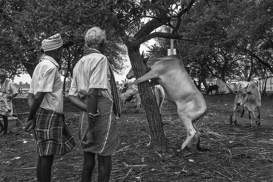 Sasikumar Ramachandran From India Inspires Us With A Great Passion For Street Photography