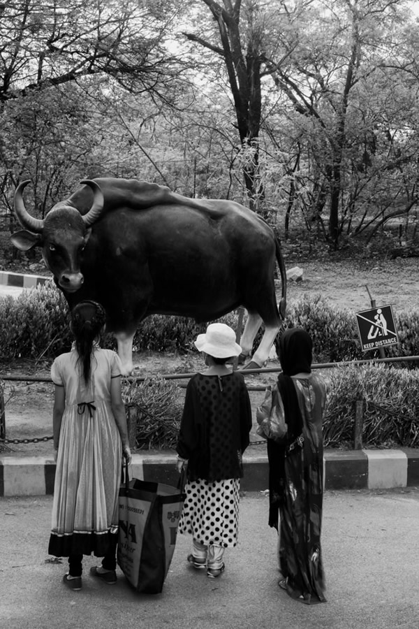 Through My Subcontinent - Street Photography Series By Indian Photographer Rahul Rishi