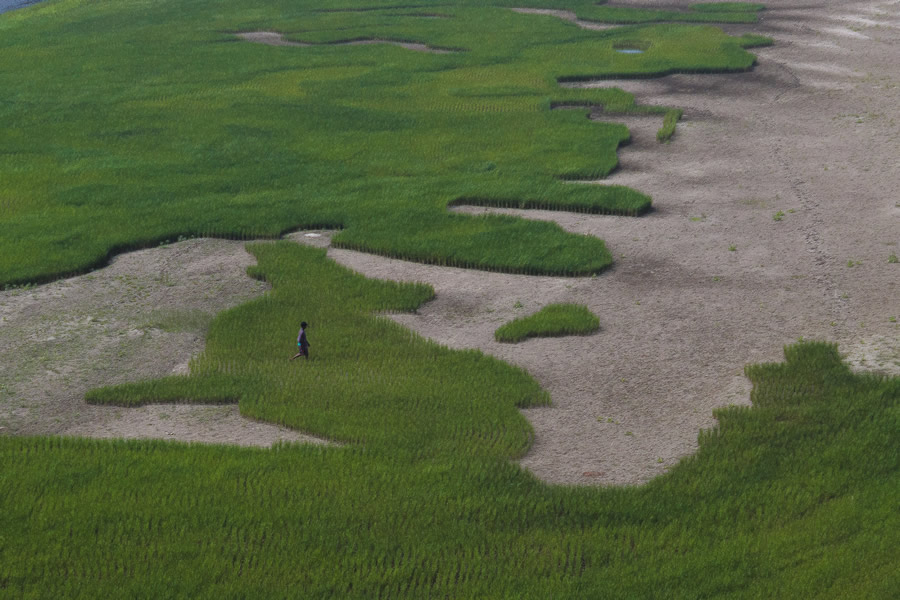 Agriculture - Best Top Photos on 121 Clicks Flickr Group