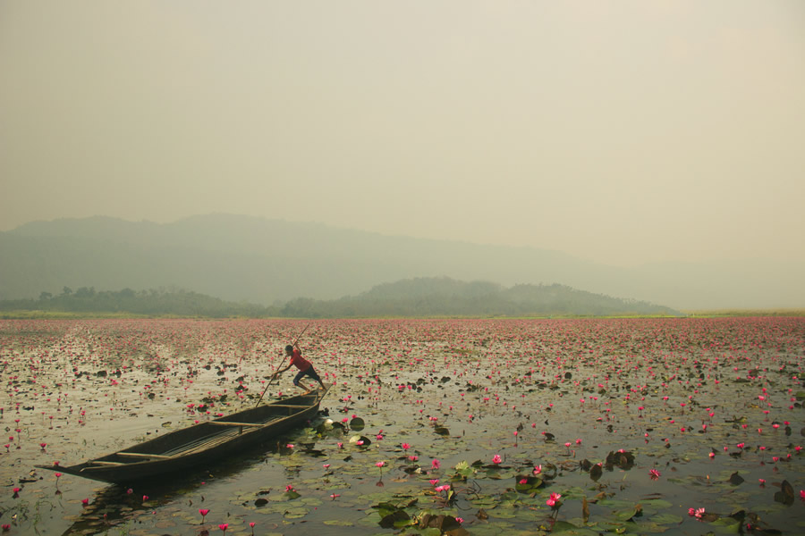 Li Li Land - Best Top Photos on 121 Clicks Flickr Group