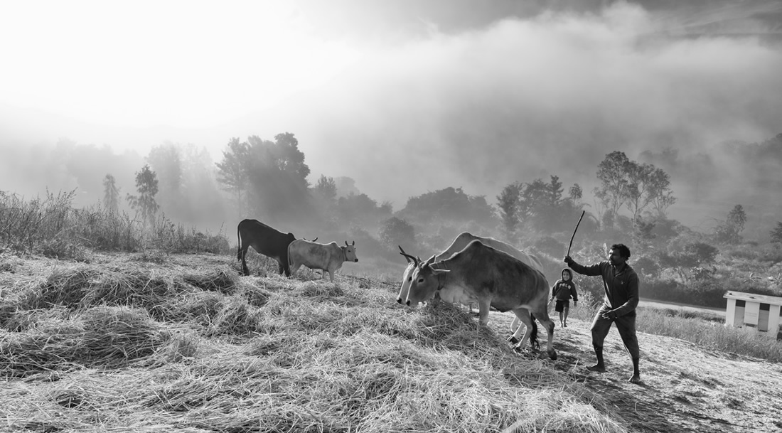 India Unplugged - Photo Series By Indian Photographer Padmanabhan Rangarajan