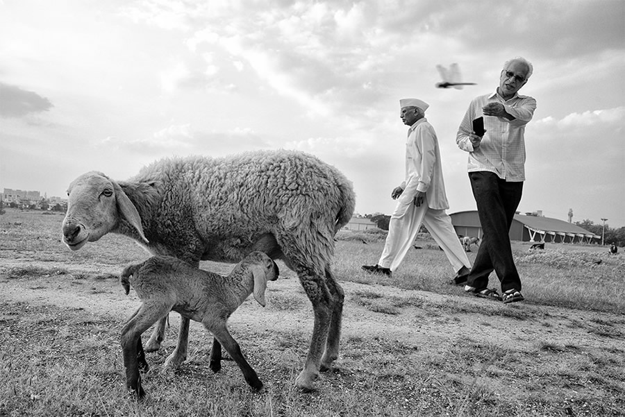 Street Photography and The Art of Composition Photos