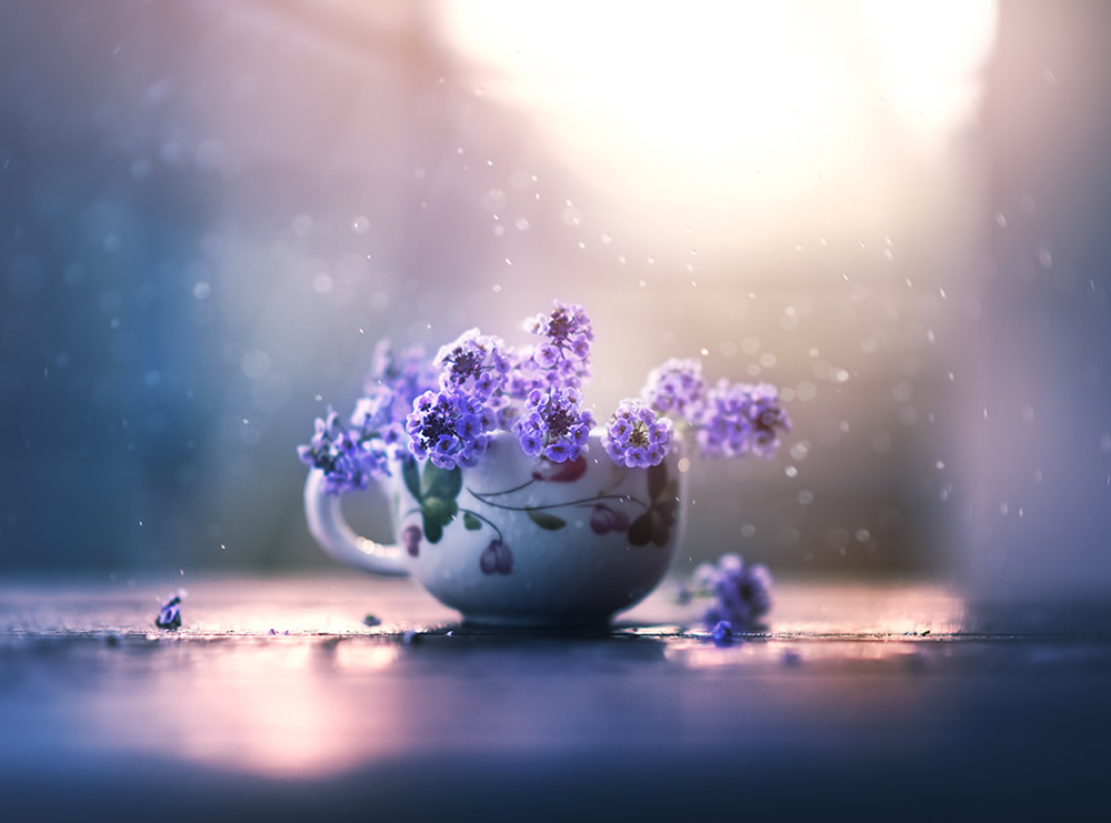 Interview With Bangladeshi Photographer Ashraful Arefin