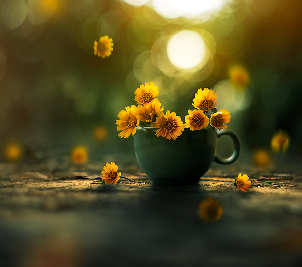 Interview With Bangladeshi Photographer Ashraful Arefin