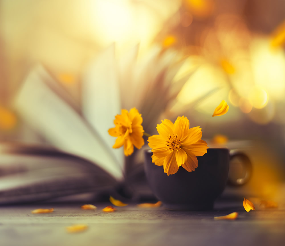 Interview With Bangladeshi Photographer Ashraful Arefin