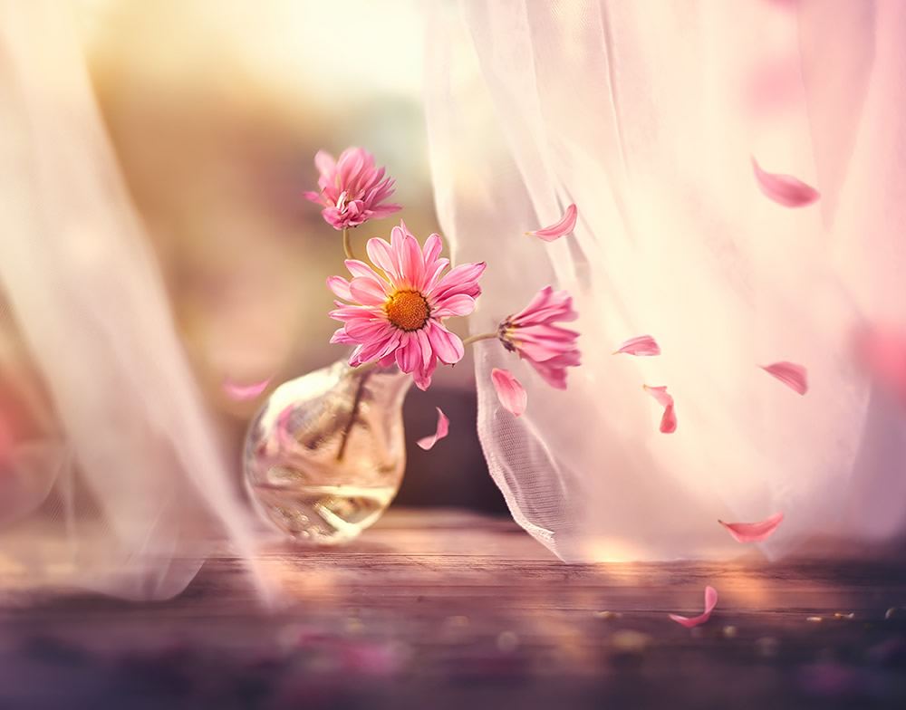 Interview With Bangladeshi Photographer Ashraful Arefin