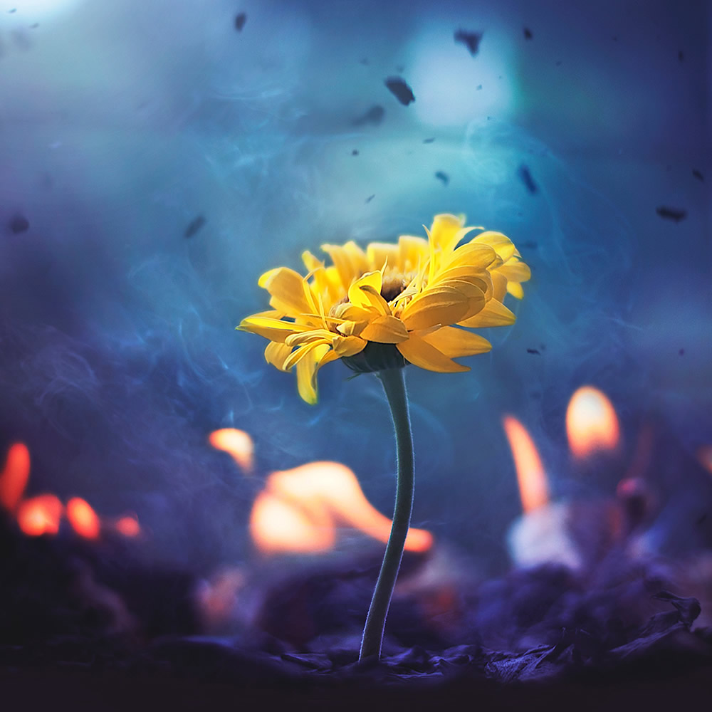 Interview With Bangladeshi Photographer Ashraful Arefin