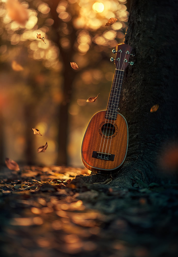 Interview With Bangladeshi Photographer Ashraful Arefin