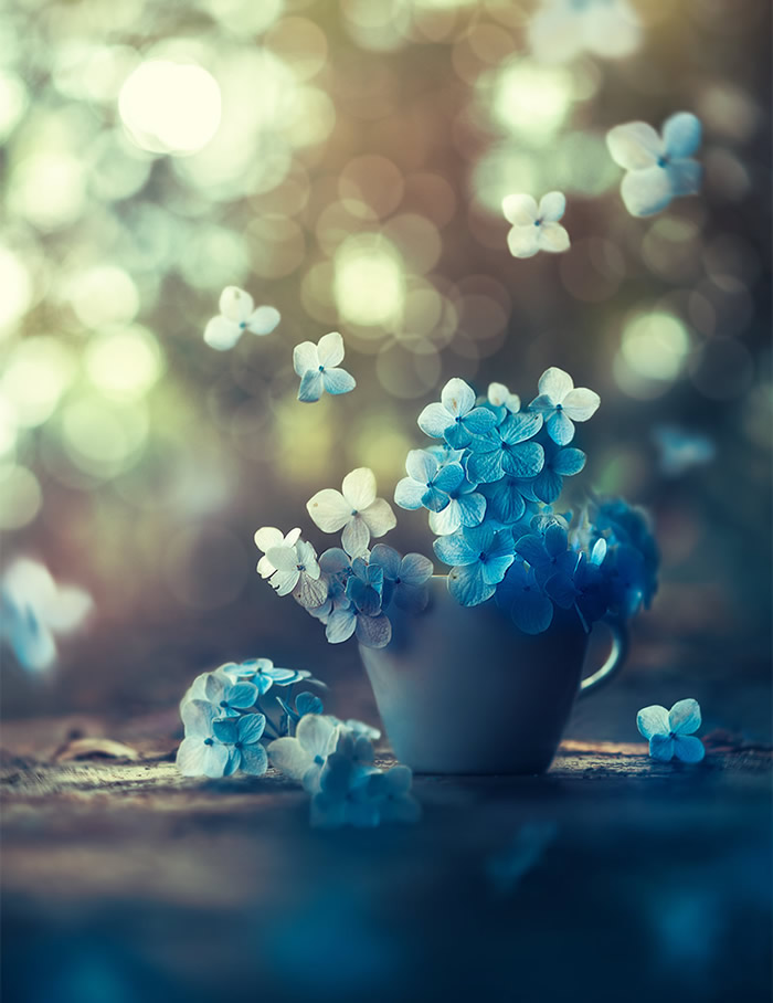 Interview With Bangladeshi Photographer Ashraful Arefin