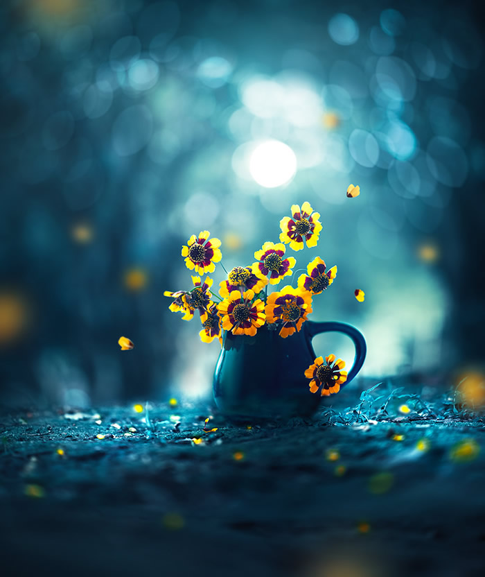 Interview With Bangladeshi Photographer Ashraful Arefin