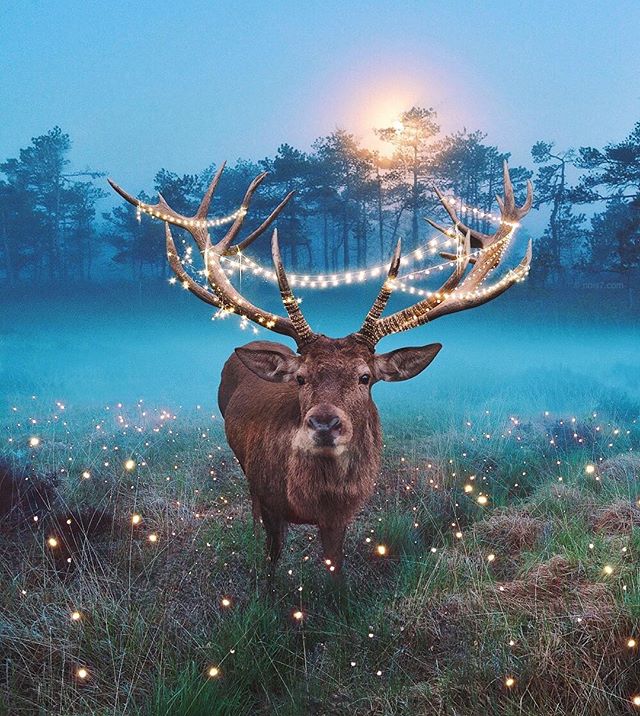 Dreamy Fairytale Photographs By Digital Artist Robert Jahns