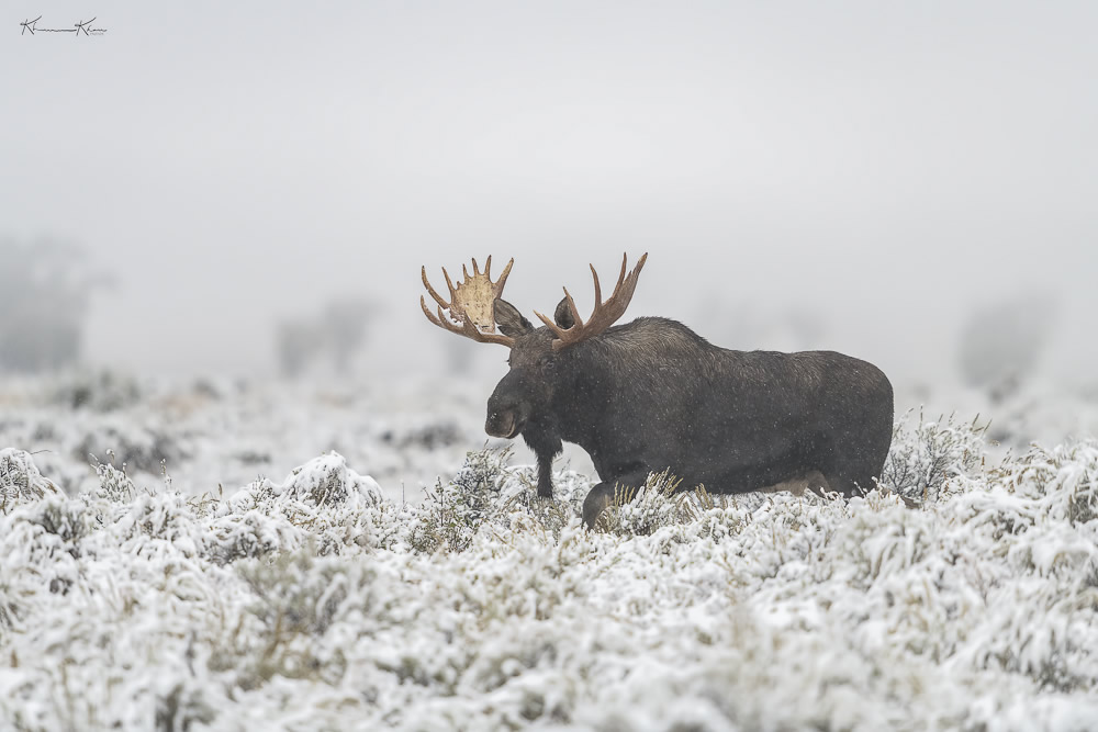 Interview With Nature Photographer Khurram Khan