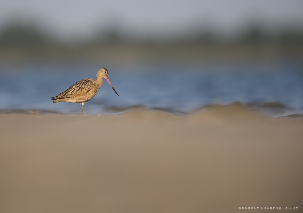 Interview With Nature Photographer Khurram Khan