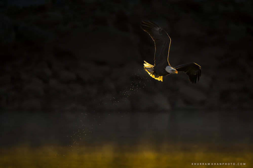 Interview With Nature Photographer Khurram Khan