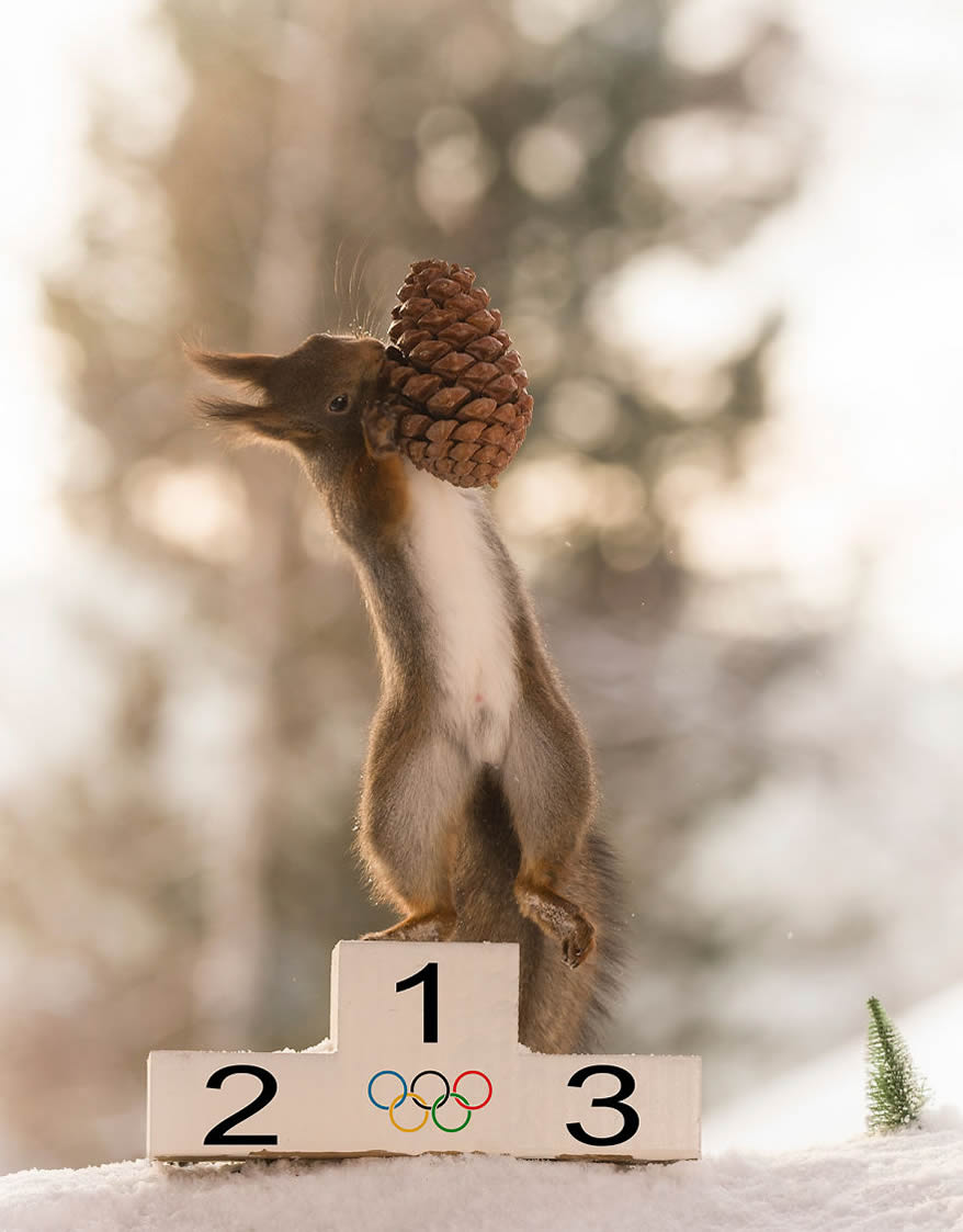 Squirrel Winter Olympics: Most Beautiful Photo Series By Geert Weggen