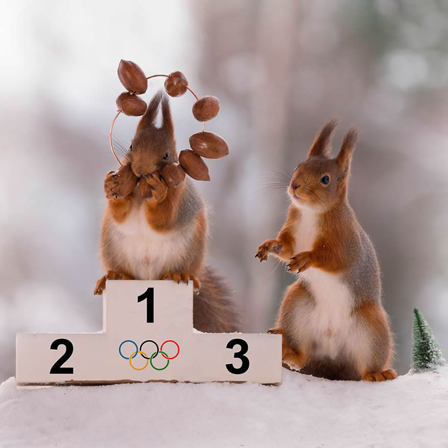 Squirrel Winter Olympics: Most Beautiful Photo Series By Geert Weggen