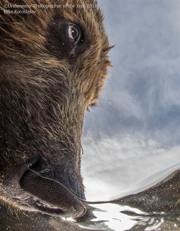 Portrait - Runner Up 'The Nose' - Mike Korostelev