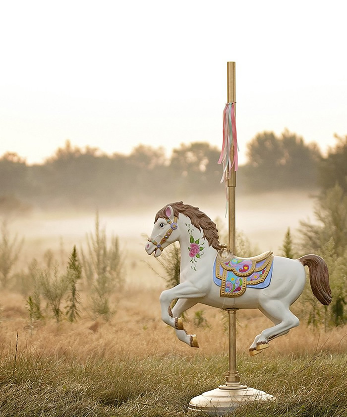 The Advantages Of The Perfect Photography Backdrop