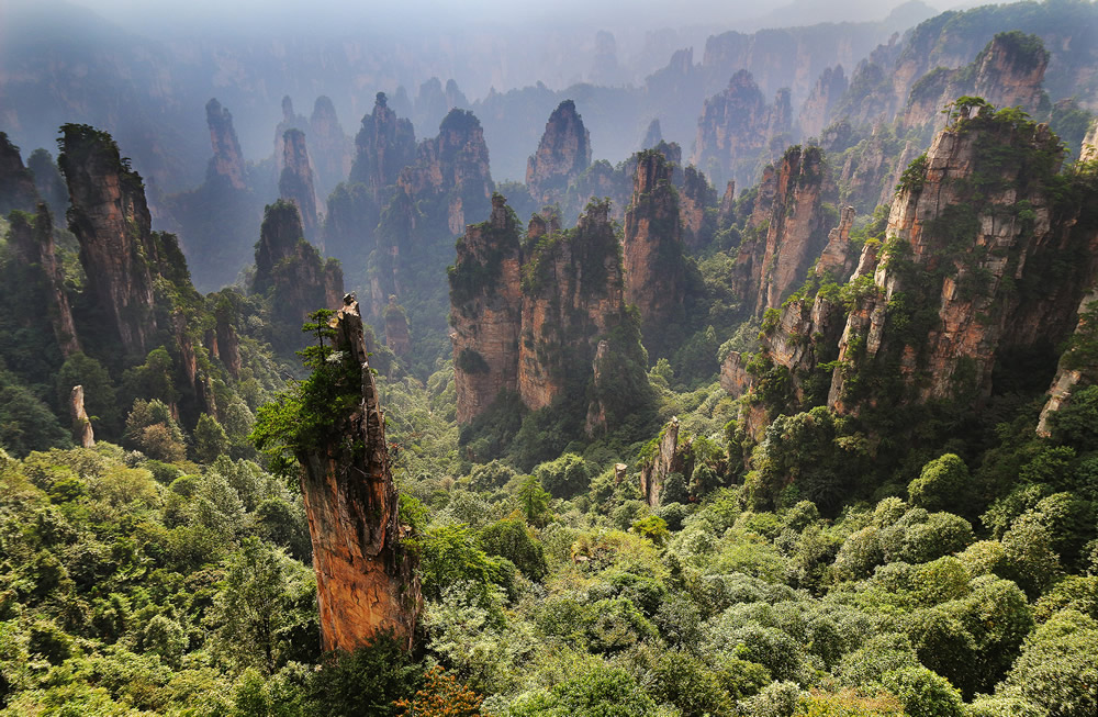 Interview With Swiss Nature Photographer Guillaume Kaufmann