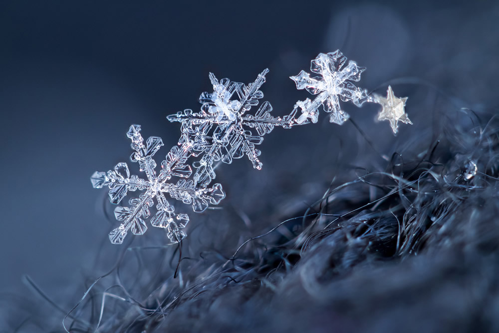 Interview With Swiss Nature Photographer Guillaume Kaufmann